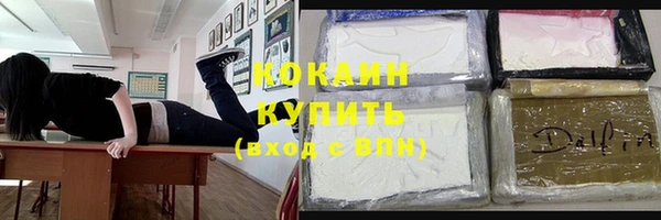 прущие грибы Волоколамск