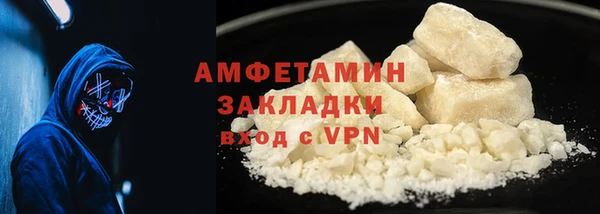 прущие грибы Волоколамск