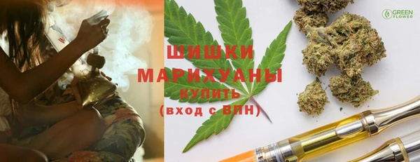 прущие грибы Волоколамск