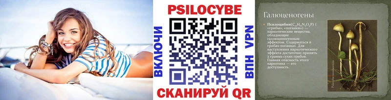купить наркоту Духовщина Псилоцибиновые грибы GOLDEN TEACHER